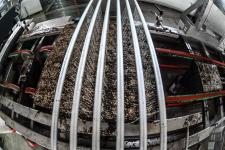 Сергей Елесин, ИА "Тюменская линия"