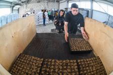 Сергей Елесин, ИА "Тюменская линия"