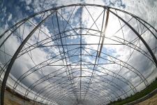 Сергей Елесин, ИА "Тюменская линия"