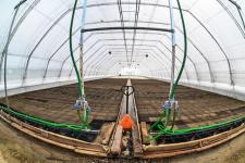 Сергей Елесин, ИА "Тюменская линия"