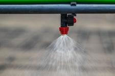 Сергей Елесин, ИА "Тюменская линия"