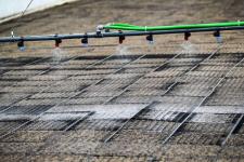 Сергей Елесин, ИА "Тюменская линия"