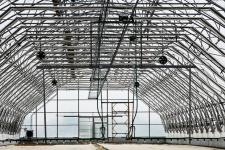 Сергей Елесин, ИА "Тюменская линия"