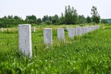 Сергей Елесин, ИА "Тюменская линия"