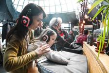 Сергей Елесин, ИА "Тюменская линия"