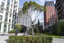 Сергей Елесин, ИА "Тюменская линия"