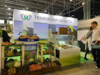 ИА "Тюменская линия" 