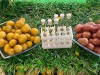 ИА "Тюменская линия" 