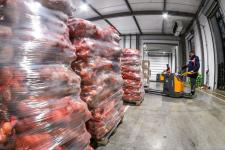 Сергей Елесин, ИА "Тюменская линия"