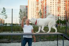 предоставлено "Брусникой"