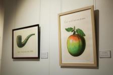 Сергей Мжельский, ИА "Тюменская линия" 