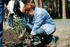 предоставлено ГК "РАСТАМ"