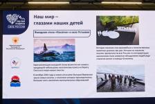 Сергей Елесин, ИА "Тюменская линия"