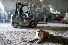 Сергей Елесин, ИА "Тюменская линия"