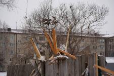 Сергей Мжельский, ИА "Тюменская линия"