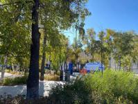 ИА "Тюменская линия" 