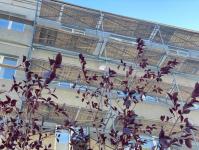 ИА "Тюменская линия"