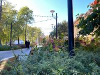 ИА "Тюменская линия"