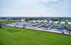 предоставлено ПРОДО Тюменский бройлер