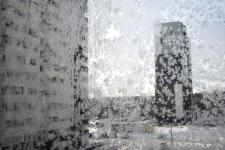 Сергей Елесин, ИА "Тюменская линия"