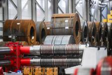 Сергей Елесин, ИА "Тюменская линия"