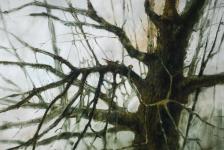 Сергей Елесин, ИА "Тюменская линия"