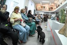 Сергей Елесин, ИА "Тюменская линия"