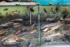 Фото: М.Хвалева, администрация Сургутского района