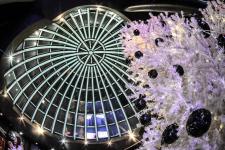 Сергей Елесин, ИА "Тюменская линия"