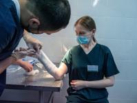 пресс-служба ТМУ 