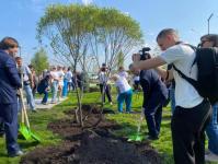 ИА "Тюменская линия"