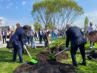 ИА "Тюменская линия"