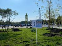 ИА "Тюменская линия"