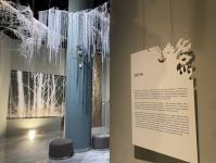 ИА "Тюменская линия" 