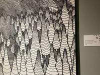 ИА "Тюменская линия" 