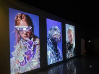 ИА "Тюменская линия" 