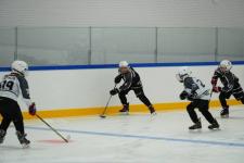 Сергей Мжельский, ИА "Тюменская линия"