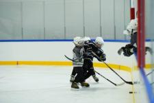 Сергей Мжельский, ИА "Тюменская линия"