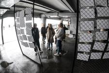 Сергей Елесин, ИА "Тюменская линия"