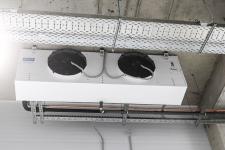 Сергей Елесин, ИА "Тюменская линия"