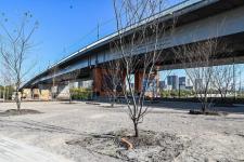 Сергей Елесин, ИА "Тюменская линия"