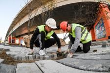 Сергей Елесин, ИА "Тюменская линия"