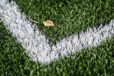 Сергей Елесин, ИА "Тюменская линия"