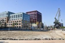 Сергей Елесин, ИА "Тюменская линия"