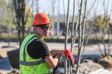 Сергей Елесин, ИА "Тюменская линия"