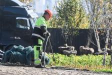 Сергей Елесин, ИА "Тюменская линия"