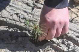 Сергей Елесин, ИА "Тюменская линия"