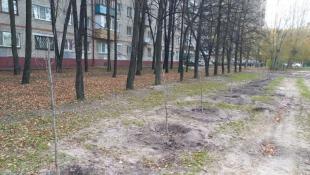 администрация Тюмени