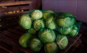 из Telegram-канала Александра Моора