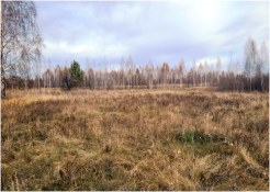 управление Россельхознадзора по Тюменской области, ЯНАО и ХМАО - Югре